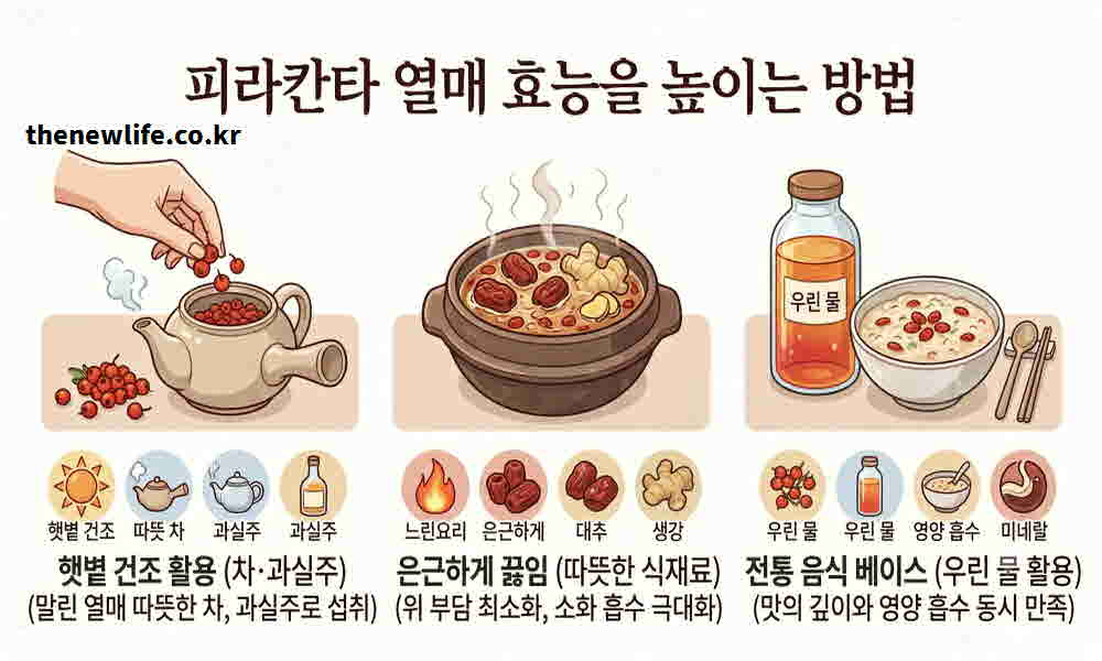 피라칸타 열매 효능 높이는 먹는 방법