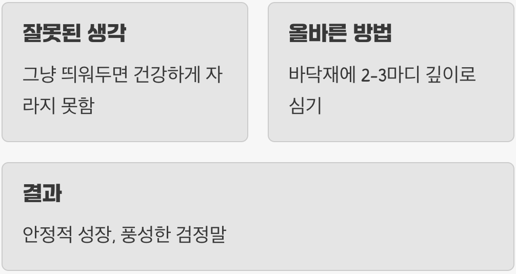 실수 하나 : 그냥 던져두면 된다는 착각