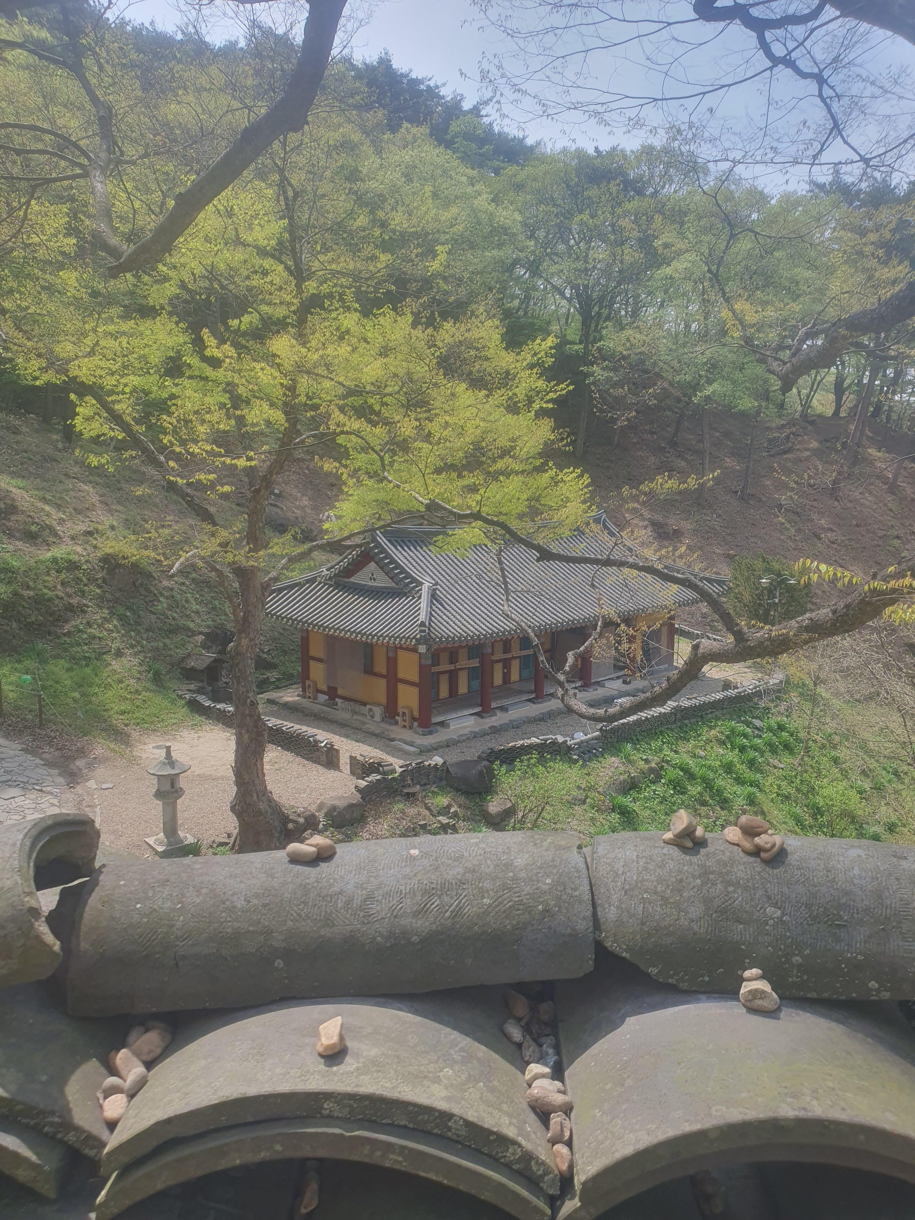 장곡사 벚꽃길과 청양 장곡사 탐방