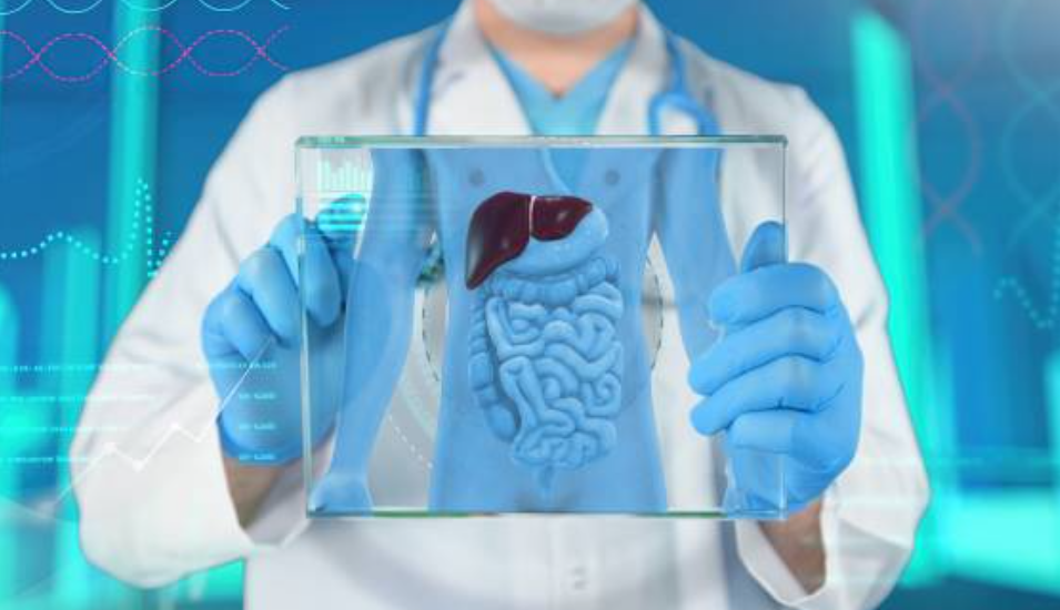 간암과 관련된 사진2