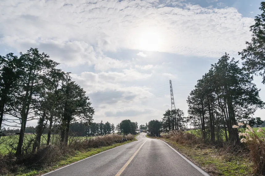 제주 강풍 속 실시간 운항정보와 날씨 예보를 확인하는 모습