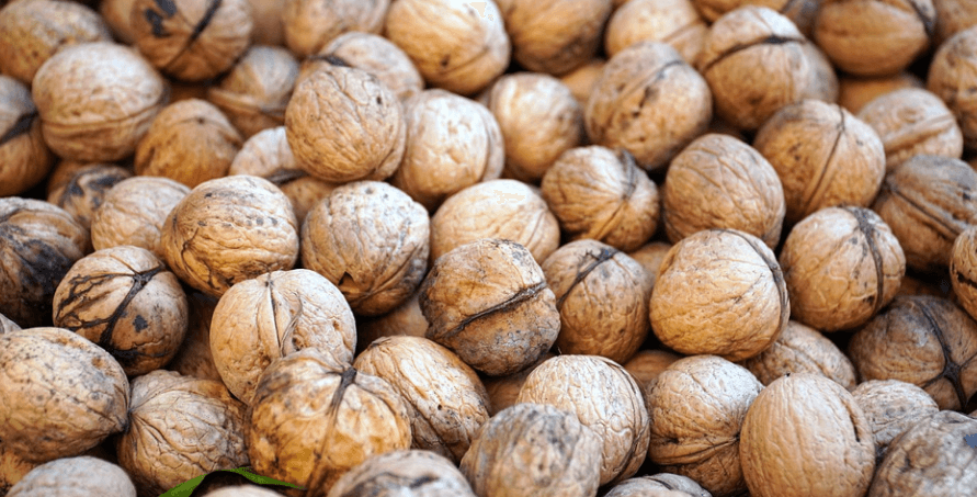 수많은 호두가 쌓여 있다