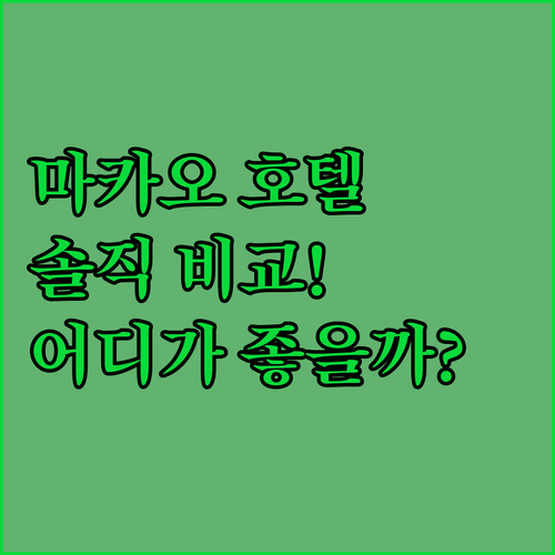솔직 후기 마카오 호텔 추천 더 베네