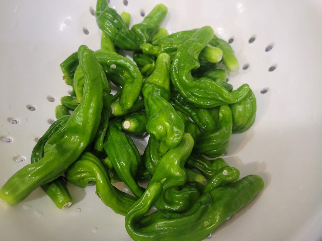 위로 칼집을 낸 꽈리고추 상태