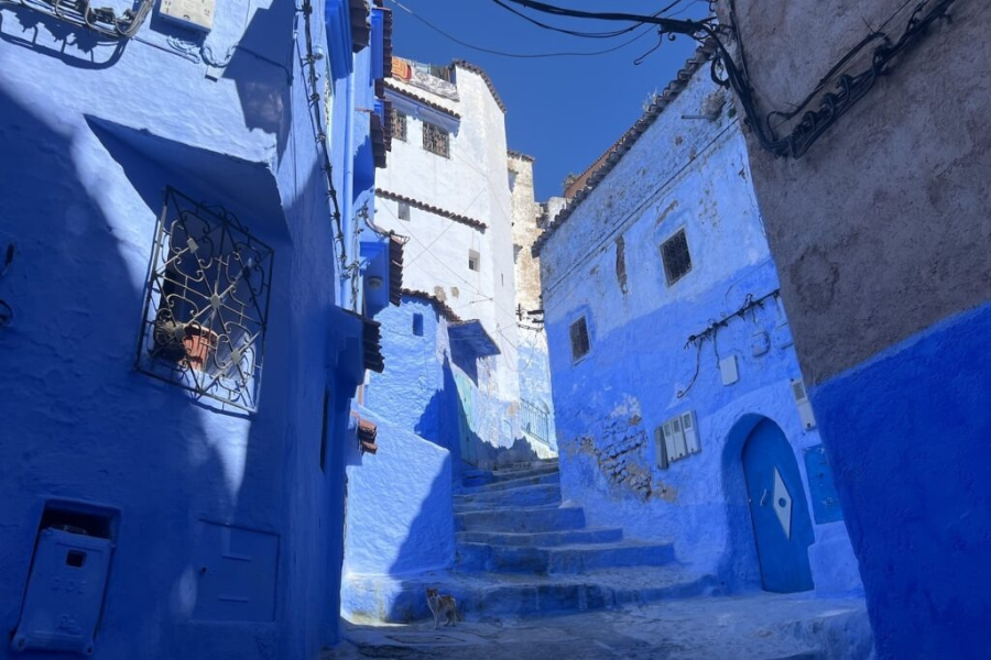 쉐프샤우엔 여행