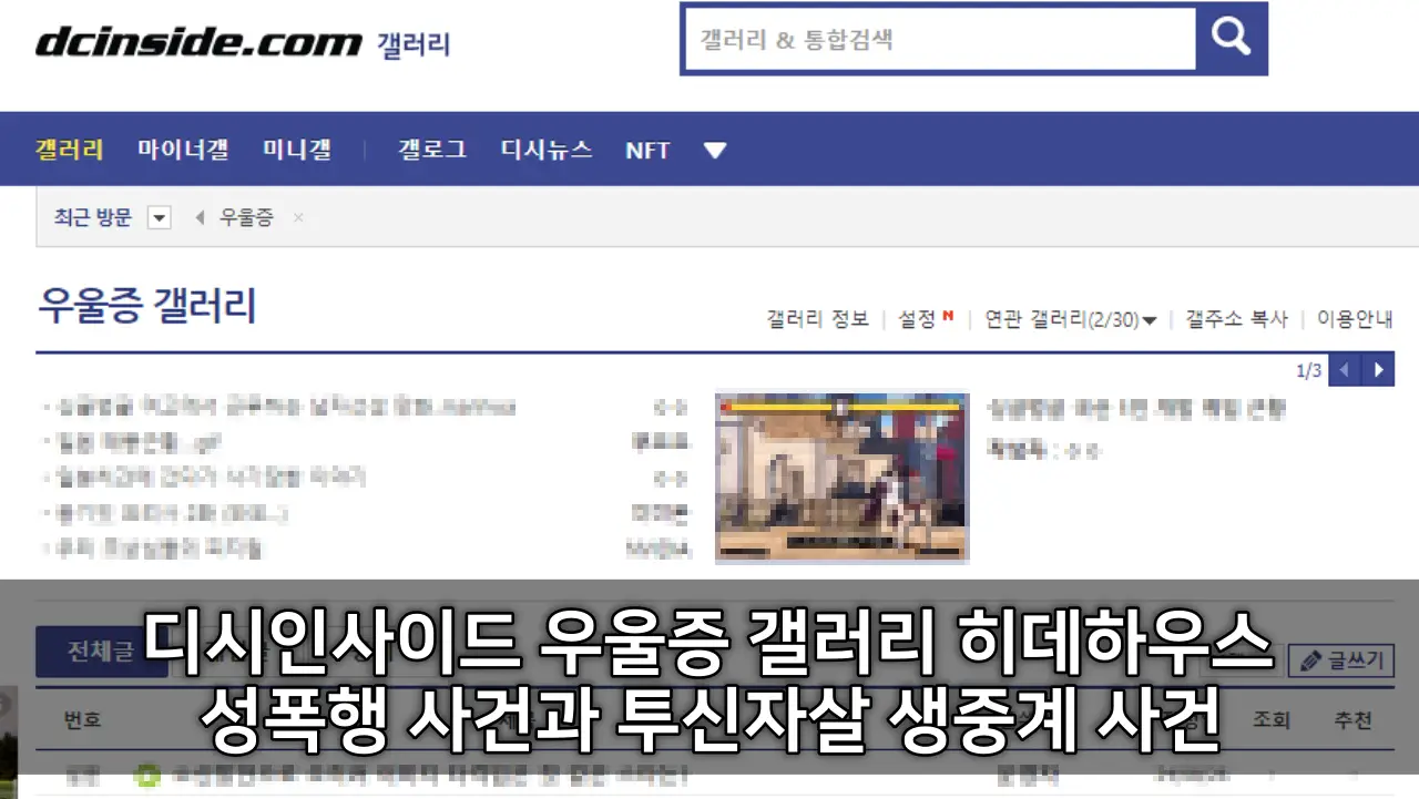 디시인사이드 우울증 갤러리 히데하우스 성폭행 사건과 투신자살 생중계 사건