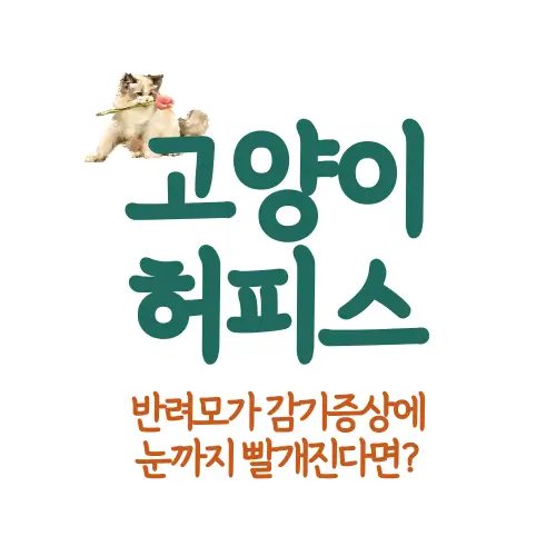 고양이 허피스 썸네일