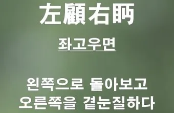 좌고우면 뜻 사용법_4