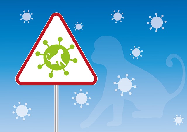 천연두 백신 및 치료제 (+ 증상 전염 수두 차이점)