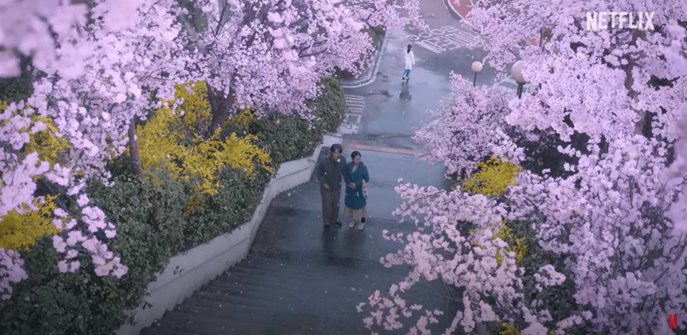 폭싹 속았수다 홍보물