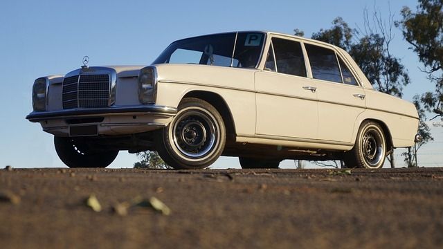 자동차 채권 환급금