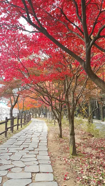 경북 구미 금오산 정상 약사암 등산코스 및 풍경 안내_5