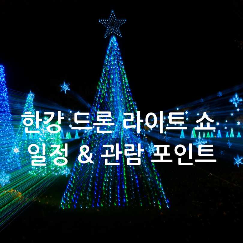 서울 드론쇼 2025