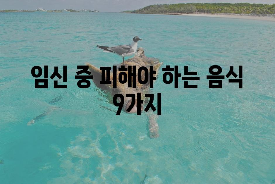 샘플 (1)