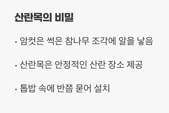 2세의 탄생, '산란목'의 비밀