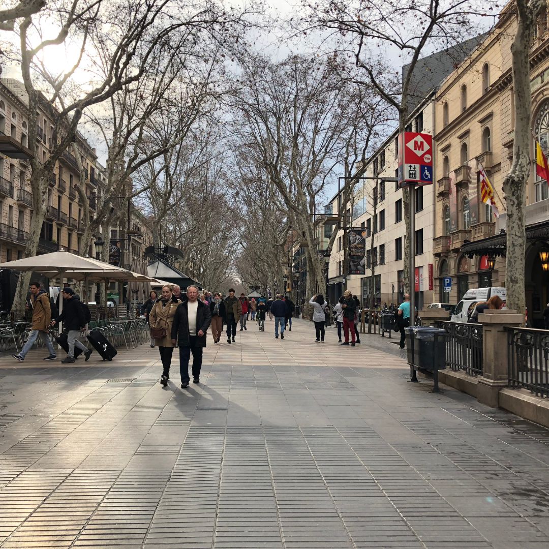 스페인 보케리아 시장 투어 쿠킹클래스