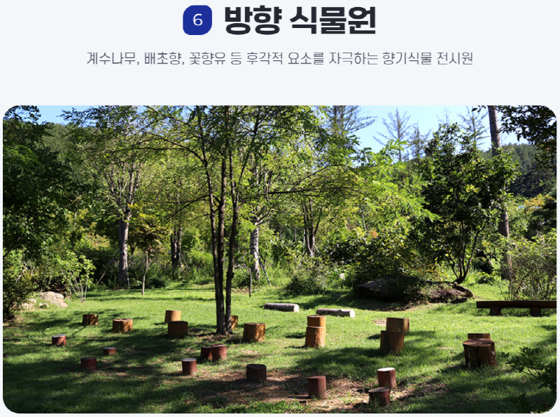 물맑음 수목원
