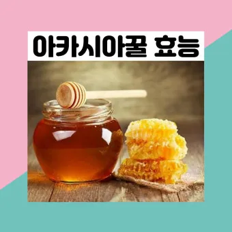 꿀 선물세트 아카시아 밤꿀 잡화꿀 향과 점도를 이해하고 고르는 법_13
