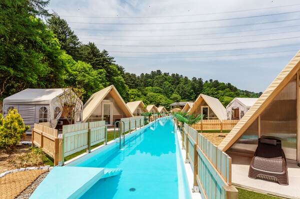 벌레 퇴치 용품은 진짜 진심으로 추천