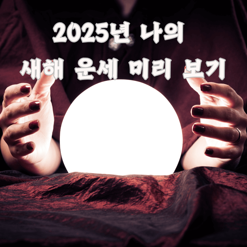 2025년 신년 운세 풀이