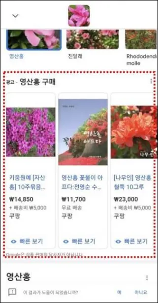 구글렌즈-쇼핑-탭