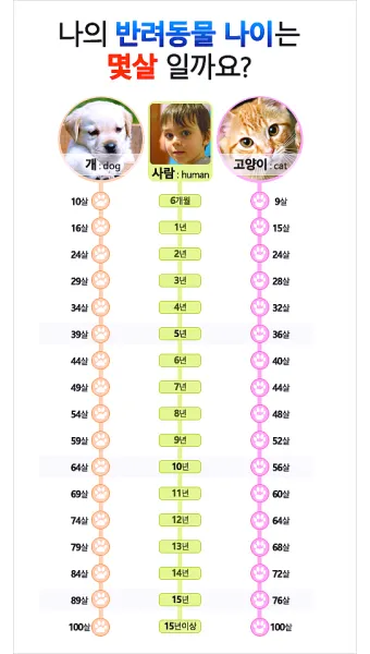 강아지 나이 환산법 가이드 실제 나이 확인 방법_5