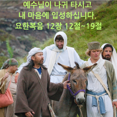 예수님이 나귀 타시고 내 마음에 입성하십니다. 요한복음 12장 12절~19절
