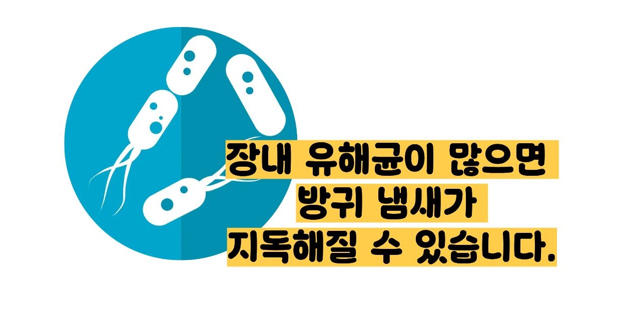 방귀 냄새가 지독해요