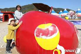 청송사과꽃 축제