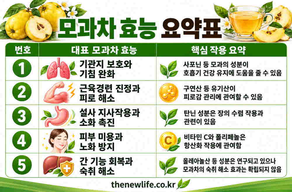 모과차 효능 요약표