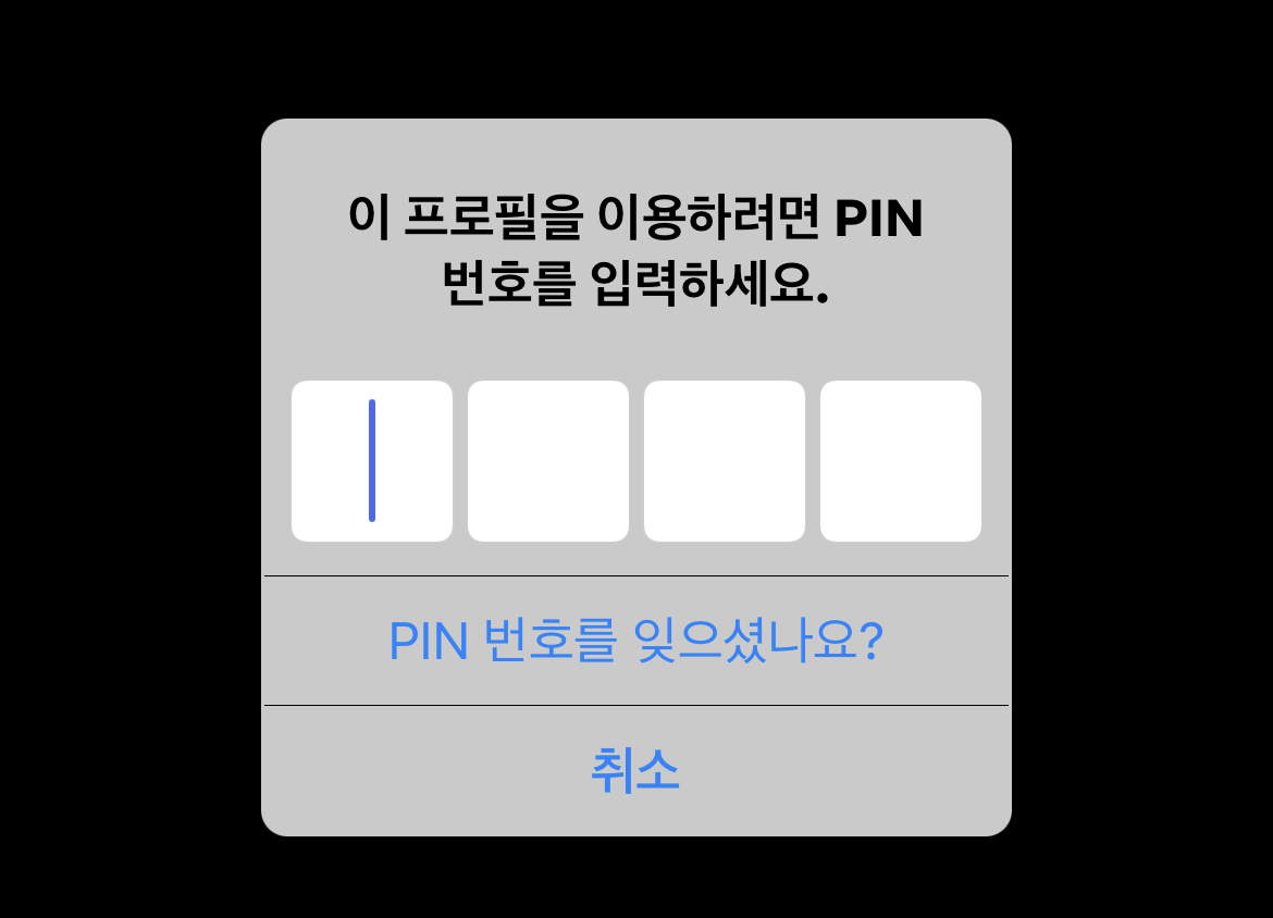 넷플릭스 프로필 잠금설정