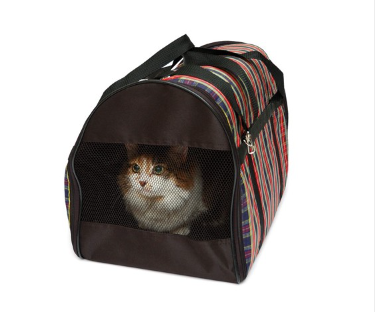 캐리어에 들어가는 고양이.