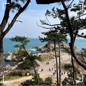 요일제 공휴일 추진12