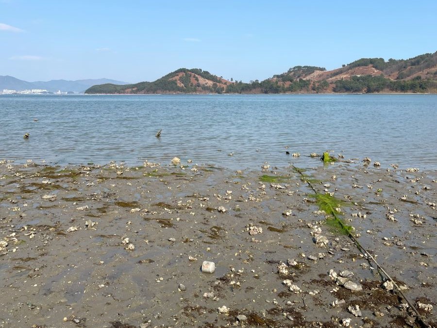 남해-갯벌-숙소