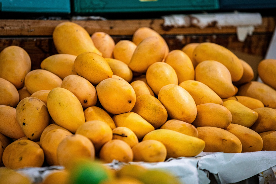 동남아 건강과일 망고.