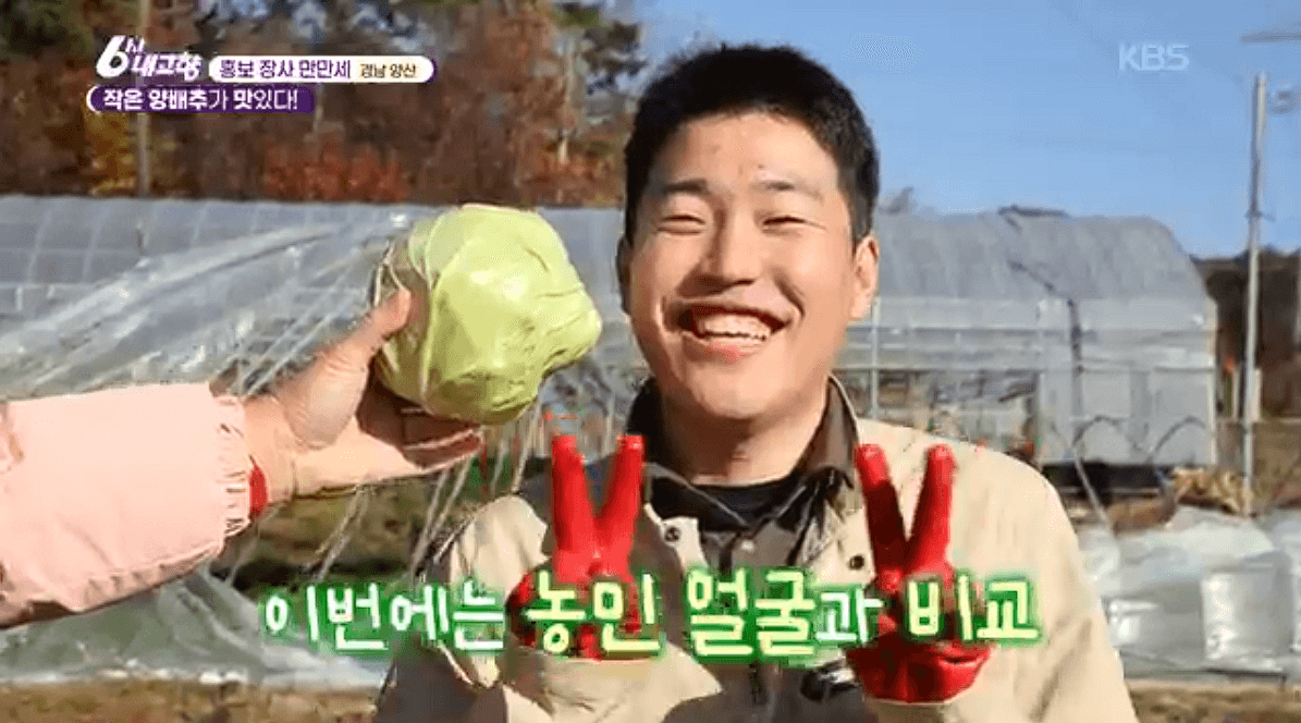 [6시내고향] 경남 양산 소형 양배추 명촌농원 스마트스토어 택배 판매처 정보를 설명하는 이미지