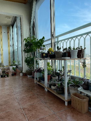 식물 키우는 사람만 아는 &lsquo;이상한 집착'