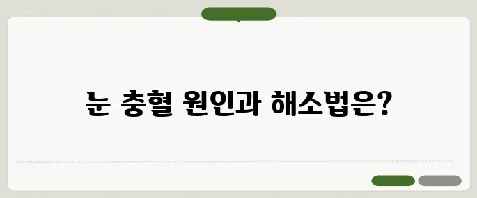 눈 충혈 원인과 빨리 없애는 방법
