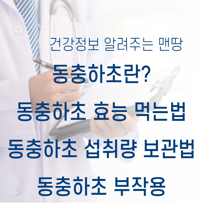동충하초