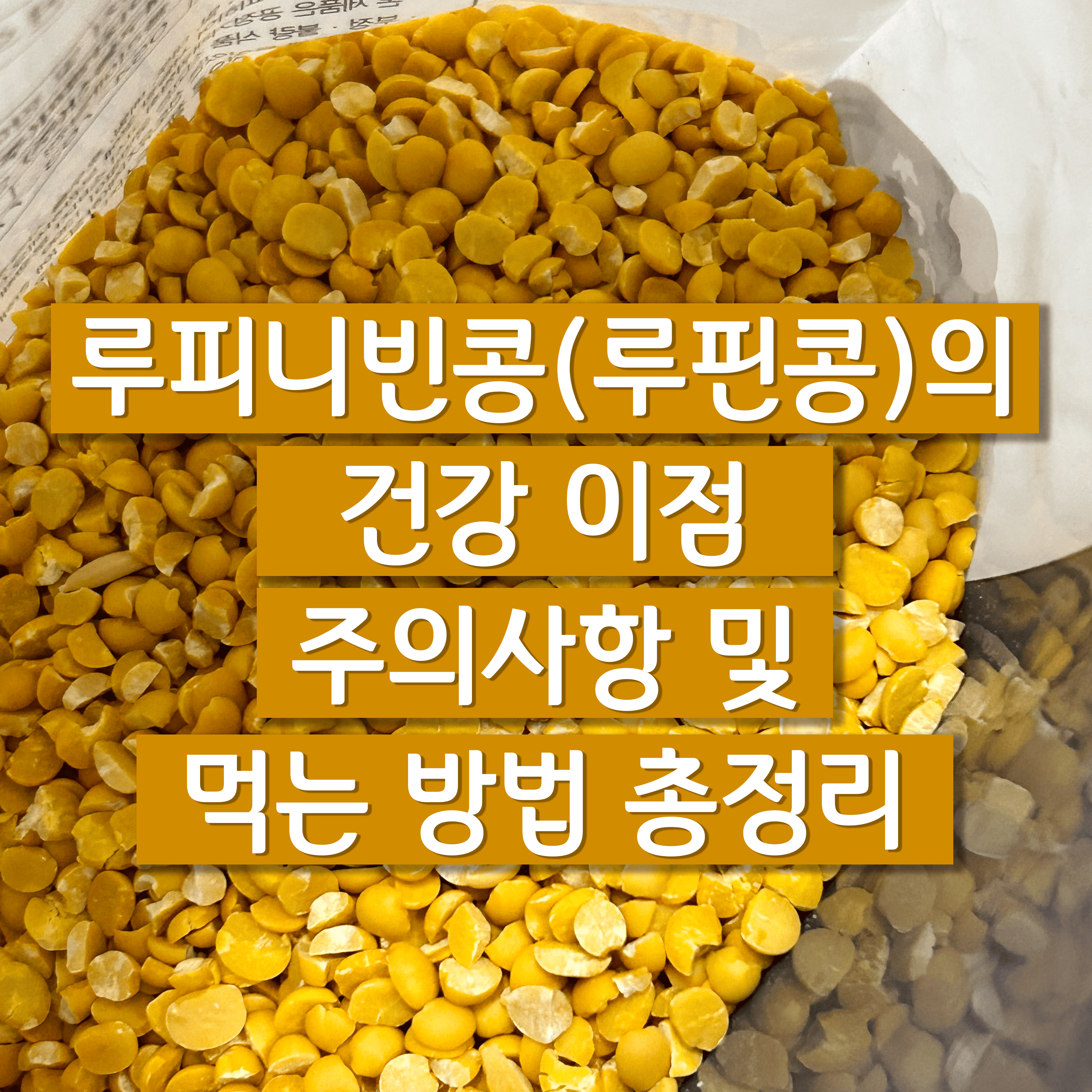 루핀콩(루피니빈콩) 포스팅의 표지 사진