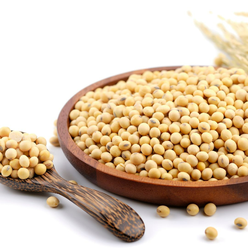 메주콩 효능