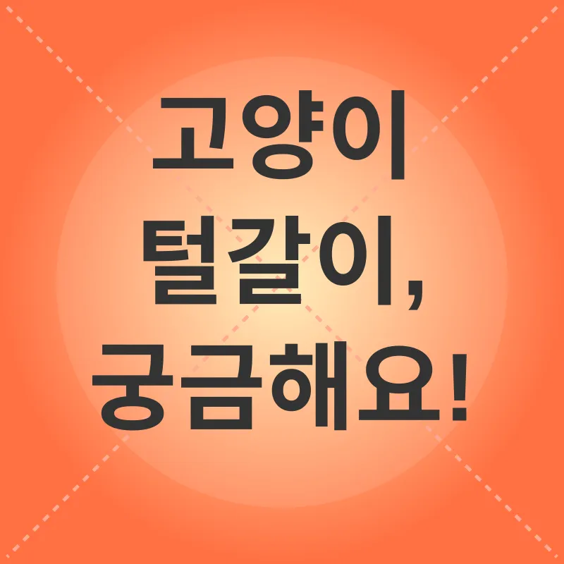 고양이 털갈이 관리_4