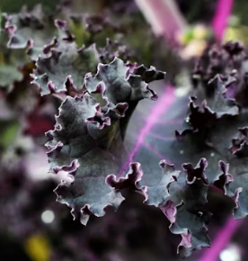 이명에 좋은 음식 영양제 식단