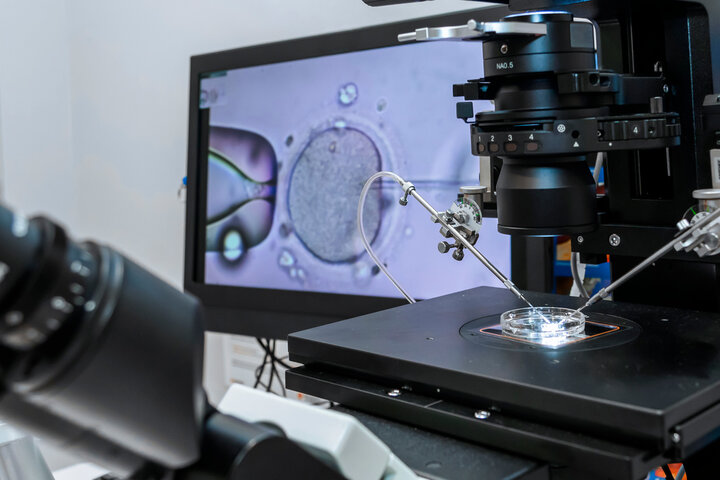 AMH 0.18 난저 난임 미혼모의 험난했던 시험관 시술 도전기