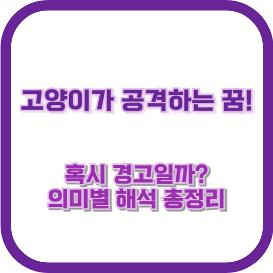 고양이가 공격하는 꿈! 혹시 경고일까? 의미별 해석 총정리