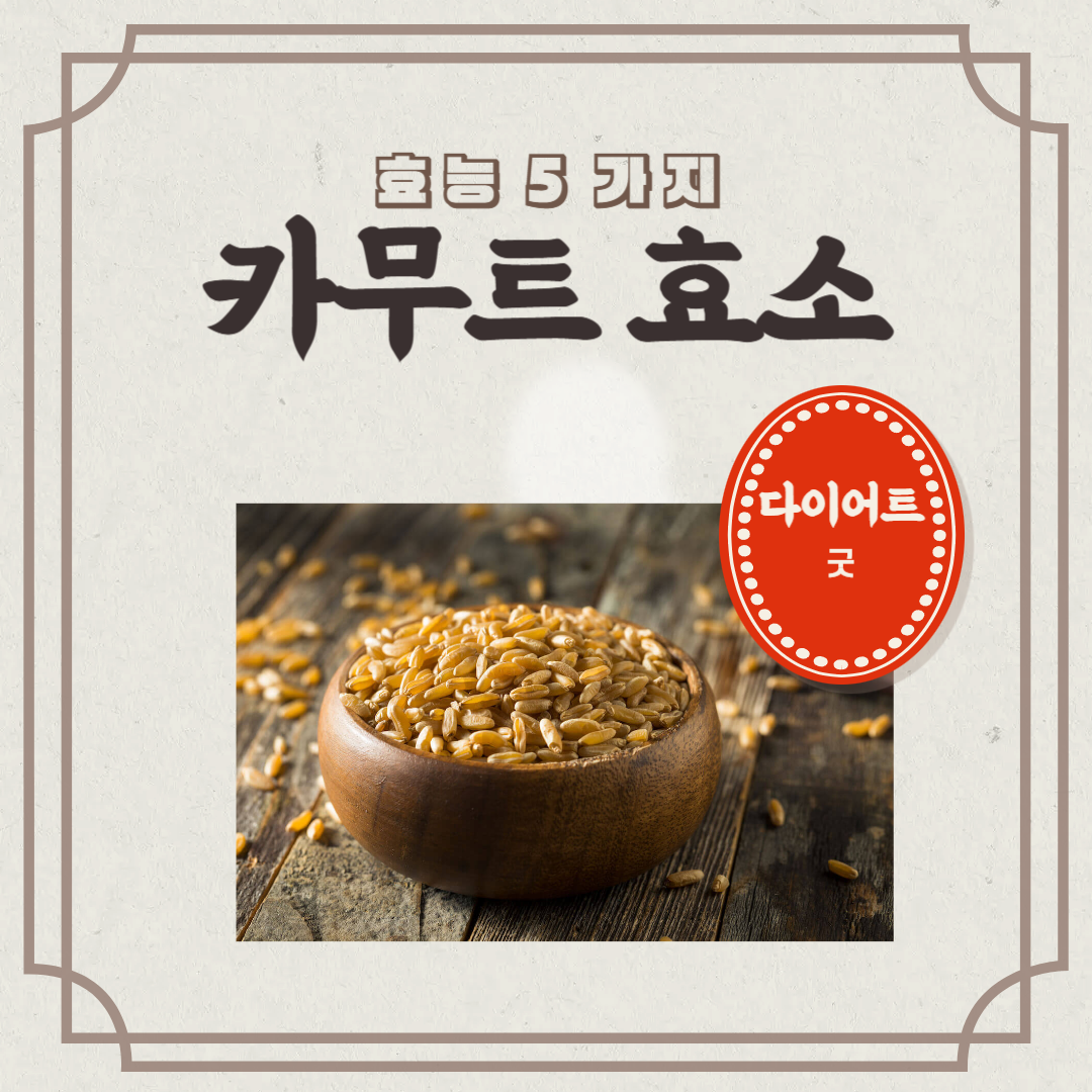 카무트 효소 효능 5가지(카무트 쌀 효능,카무트 효능, 카무트 효소,카무트 효소 식전 식후)