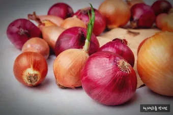 퀘르세틴 효능부족 현상복용방법 시기부작용많은 음식적정량 안내_11