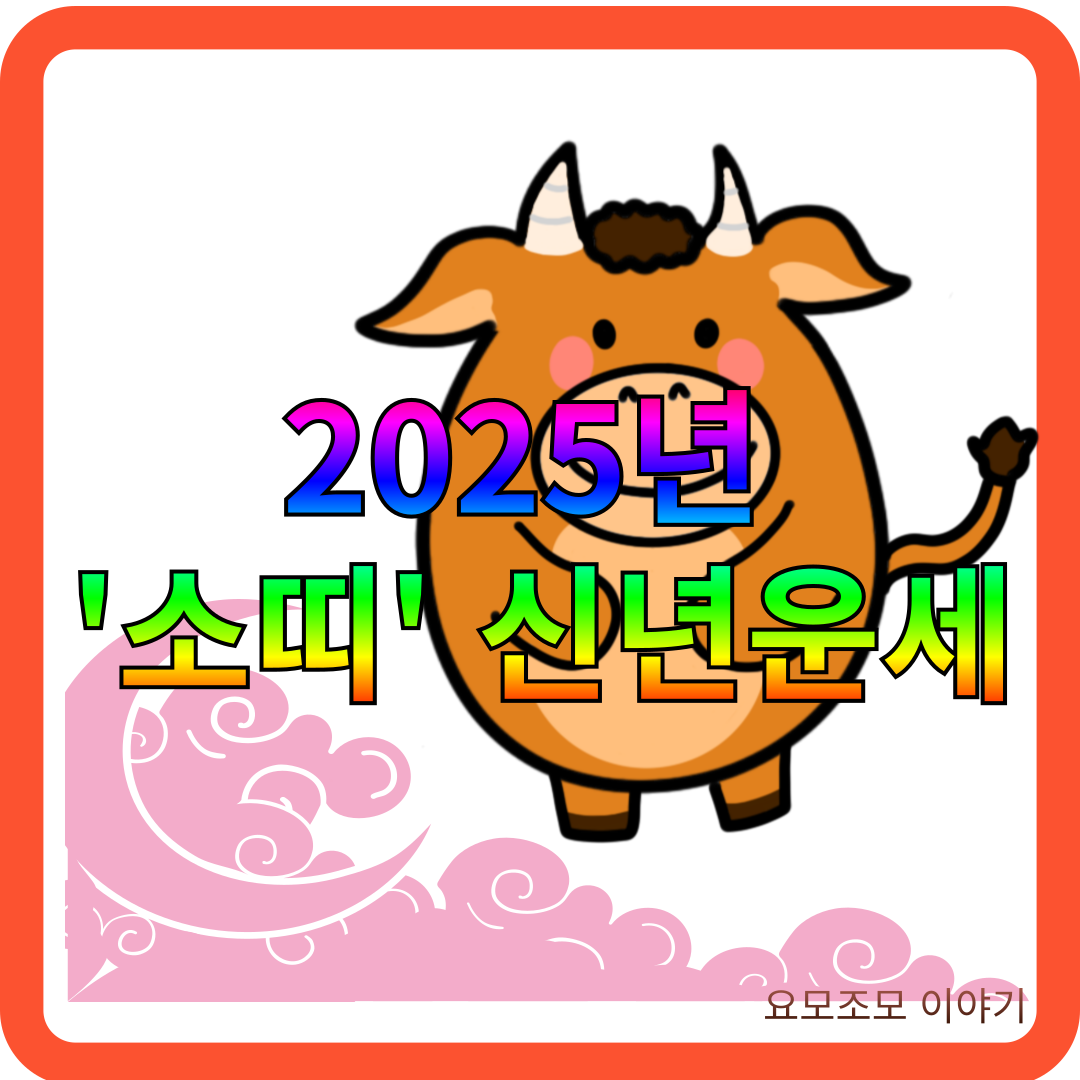 2025년-소띠-운세