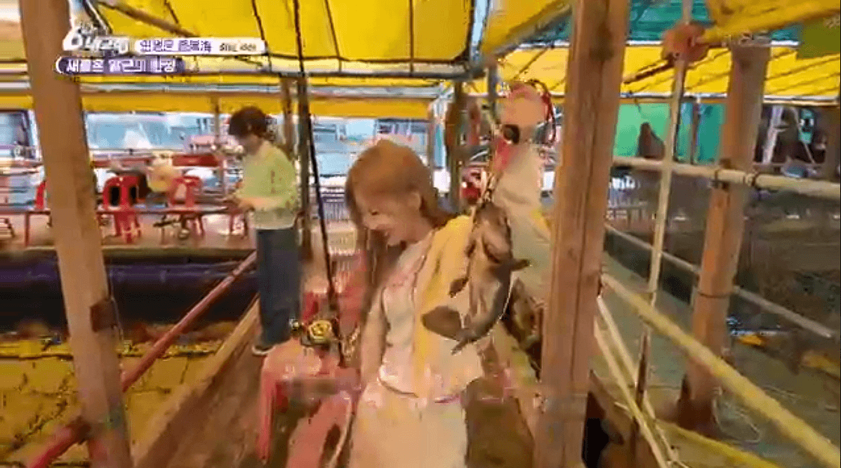 [6시내고향]충남 서산 해상 좌대낚시 고려호 창리해상펜션 바지락 해뜨는천수만 예약 연락처 위치 정보를 자세히 알려주는 이미지입니다.