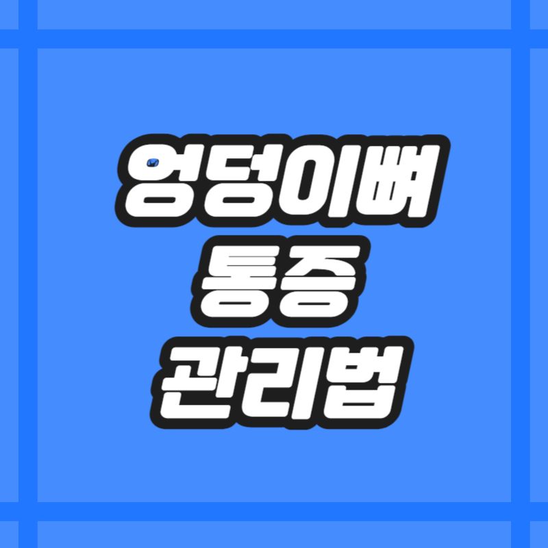 엉덩이뼈 통증